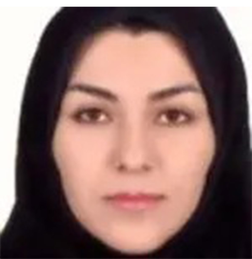 تهمینه باقری